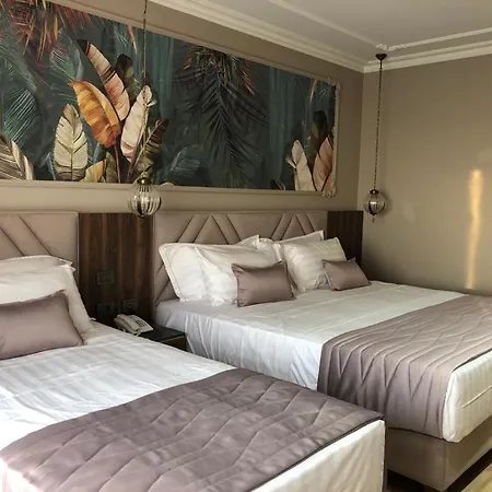 Premium Sunrise Golem (Tirana)