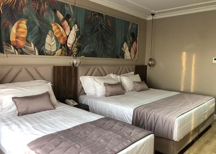 Premium Sunrise Golem (Tirana)